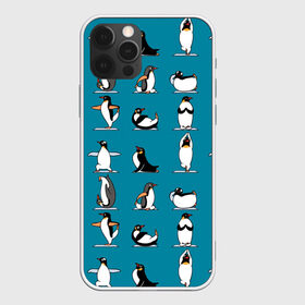 Чехол для iPhone 12 Pro Max с принтом Пингвина на заярдке в городе Новоалтайск, Силикон |  | Тематика изображения на принте: голубая | день валентина | день святого | день святого валентина | зарядка | качки | пингвин | пингвины | прикольная | птица | птицы | физкультура | физра