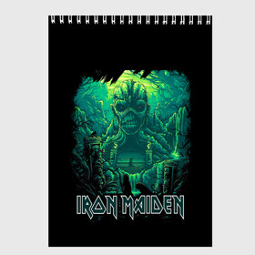 Скетчбук с принтом IRON MAIDEN в городе Новоалтайск, 100% бумага
 | 48 листов, плотность листов — 100 г/м2, плотность картонной обложки — 250 г/м2. Листы скреплены сверху удобной пружинной спиралью | black | dark | death | fantasy | hardcore | heavy metal | iron maiden | metal | music | rock | skuul | usa | метал | музыка | рок | скелет | фентези | череп | черный