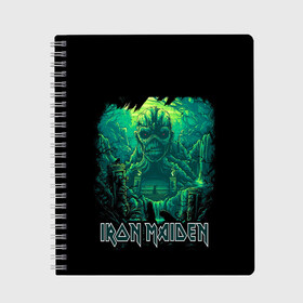 Тетрадь с принтом IRON MAIDEN в городе Новоалтайск, 100% бумага | 48 листов, плотность листов — 60 г/м2, плотность картонной обложки — 250 г/м2. Листы скреплены сбоку удобной пружинной спиралью. Уголки страниц и обложки скругленные. Цвет линий — светло-серый
 | black | dark | death | fantasy | hardcore | heavy metal | iron maiden | metal | music | rock | skuul | usa | метал | музыка | рок | скелет | фентези | череп | черный