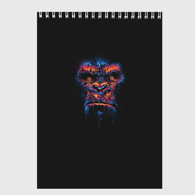 Скетчбук с принтом Colorful Gorilla в городе Новоалтайск, 100% бумага
 | 48 листов, плотность листов — 100 г/м2, плотность картонной обложки — 250 г/м2. Листы скреплены сверху удобной пружинной спиралью | animal | beast | color | colorful | gorilla | ink | monkey | paints | горилла | животное | зверь | краски | обезьяна | чернила