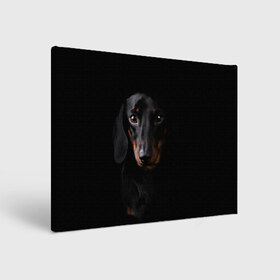 Холст прямоугольный с принтом ТАКСА в городе Новоалтайск, 100% ПВХ |  | animal | black | dog | photo | глаза | домашние | животные | звери | пес | собакен | собаки | такса | черный