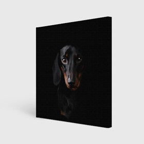 Холст квадратный с принтом ТАКСА в городе Новоалтайск, 100% ПВХ |  | animal | black | dog | photo | глаза | домашние | животные | звери | пес | собакен | собаки | такса | черный