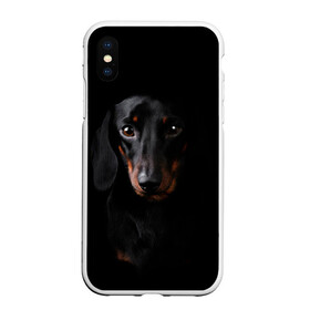 Чехол для iPhone XS Max матовый с принтом ТАКСА в городе Новоалтайск, Силикон | Область печати: задняя сторона чехла, без боковых панелей | Тематика изображения на принте: animal | black | dog | photo | глаза | домашние | животные | звери | пес | собакен | собаки | такса | черный