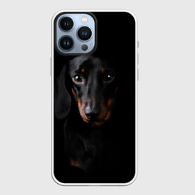 Чехол для iPhone 13 Pro Max с принтом ТАКСА в городе Новоалтайск,  |  | animal | black | dog | photo | глаза | домашние | животные | звери | пес | собакен | собаки | такса | черный