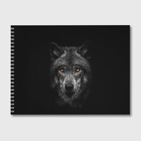 Альбом для рисования с принтом Evil Wolf в городе Новоалтайск, 100% бумага
 | матовая бумага, плотность 200 мг. | Тематика изображения на принте: animal | beast | dark | darkness | evil | moon | nigth | tegunvteg | werwolf | wild | wolf | вервольф | вой | волк | волки | волчара | дикий | животное | зверь | клык | клыки | луна | ночь | оборотень | полнолуние