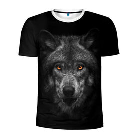 Мужская футболка 3D спортивная с принтом Evil Wolf в городе Новоалтайск, 100% полиэстер с улучшенными характеристиками | приталенный силуэт, круглая горловина, широкие плечи, сужается к линии бедра | Тематика изображения на принте: animal | beast | dark | darkness | evil | moon | nigth | tegunvteg | werwolf | wild | wolf | вервольф | вой | волк | волки | волчара | дикий | животное | зверь | клык | клыки | луна | ночь | оборотень | полнолуние
