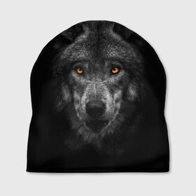 Шапка 3D с принтом Evil Wolf в городе Новоалтайск, 100% полиэстер | универсальный размер, печать по всей поверхности изделия | animal | beast | dark | darkness | evil | moon | nigth | tegunvteg | werwolf | wild | wolf | вервольф | вой | волк | волки | волчара | дикий | животное | зверь | клык | клыки | луна | ночь | оборотень | полнолуние