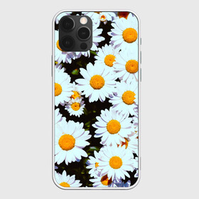 Чехол для iPhone 12 Pro Max с принтом Ромашки в городе Новоалтайск, Силикон |  | Тематика изображения на принте: 2021 | бабочка | весенняя | весна | вишня | вселенная | коронавирус | космос | лето | лилия | мимоза | океан | отпуск | роза | розы | ромашка | ромашки | с бабочками | с цветами | сад | сакура | фиалка