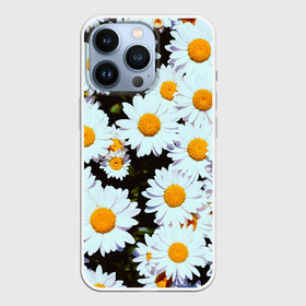 Чехол для iPhone 13 Pro с принтом Ромашки в городе Новоалтайск,  |  | Тематика изображения на принте: 2021 | бабочка | весенняя | весна | вишня | вселенная | коронавирус | космос | лето | лилия | мимоза | океан | отпуск | роза | розы | ромашка | ромашки | с бабочками | с цветами | сад | сакура | фиалка