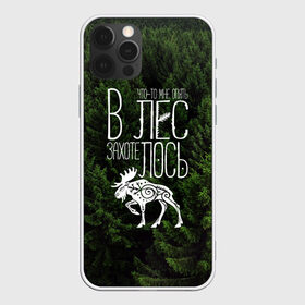 Чехол для iPhone 12 Pro Max с принтом В лес захотелось в городе Новоалтайск, Силикон |  | бег | болота | выезд с палатками | глушь | дикая природа | елки | еловый бор | кэмпинг | лес | лось | маршрут | ммб | сибирь | силуэт лося | тайга | тотем | трекинг | туризм | узоры