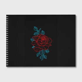 Альбом для рисования с принтом НЕОНОВАЯ РОЗА NEON ROSE в городе Новоалтайск, 100% бумага
 | матовая бумага, плотность 200 мг. | Тематика изображения на принте: 8 | day | flowers | girl | girlfriend | girls | granny | love | lovers | march | mommy | moms | roses | women | womens | бабуля | бабушка | девушка | девушки | день | жена | женский | женщина | любовь | мама | мамуля | марта | розы | сестра | си