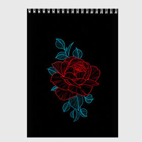 Скетчбук с принтом НЕОНОВАЯ РОЗА NEON ROSE в городе Новоалтайск, 100% бумага
 | 48 листов, плотность листов — 100 г/м2, плотность картонной обложки — 250 г/м2. Листы скреплены сверху удобной пружинной спиралью | 8 | day | flowers | girl | girlfriend | girls | granny | love | lovers | march | mommy | moms | roses | women | womens | бабуля | бабушка | девушка | девушки | день | жена | женский | женщина | любовь | мама | мамуля | марта | розы | сестра | си