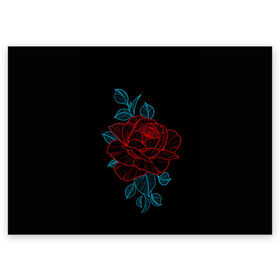 Поздравительная открытка с принтом НЕОНОВАЯ РОЗА NEON ROSE в городе Новоалтайск, 100% бумага | плотность бумаги 280 г/м2, матовая, на обратной стороне линовка и место для марки
 | Тематика изображения на принте: 8 | day | flowers | girl | girlfriend | girls | granny | love | lovers | march | mommy | moms | roses | women | womens | бабуля | бабушка | девушка | девушки | день | жена | женский | женщина | любовь | мама | мамуля | марта | розы | сестра | си