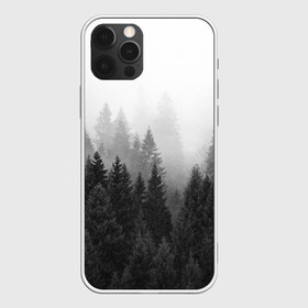 Чехол для iPhone 12 Pro Max с принтом Туманный лес в городе Новоалтайск, Силикон |  | tegunvteg | деревья | лес | листья | природа | темный лес | туман | туманный лес