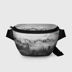 Поясная сумка 3D с принтом Лес в городе Новоалтайск, 100% полиэстер | плотная ткань, ремень с регулируемой длиной, внутри несколько карманов для мелочей, основное отделение и карман с обратной стороны сумки застегиваются на молнию | tegunvteg | деревья | лес | листья | природа | темный лес | туман | туман в лесу
