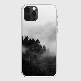 Чехол для iPhone 12 Pro Max с принтом Природа - Лес в городе Новоалтайск, Силикон |  | tegunvteg | деревья | лес | листья | природа | темный лес | туман | туманный лес