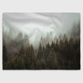 Плед 3D с принтом Деревья в городе Новоалтайск, 100% полиэстер | закругленные углы, все края обработаны. Ткань не мнется и не растягивается | tegunvteg | деревья | лес | листья | природа | темный лес | туман