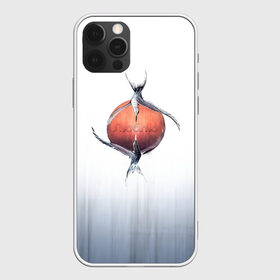 Чехол для iPhone 12 Pro Max с принтом Птичья любовь в городе Новоалтайск, Силикон |  | восход солнца | люблю | птица | романтичный