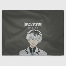 Плед 3D с принтом HAISE SASAKE Tokyo Ghoul в городе Новоалтайск, 100% полиэстер | закругленные углы, все края обработаны. Ткань не мнется и не растягивается | anime | kaneki ken | tokyo ghoul | tokyo ghoul: re | аниме | анимэ | гули | джузо сузуя | канеки кен | кузен йошимура | наки | нишики нишио | ре | ренджи йомо | ризе камиширо | токийский гуль | тоука киришима | ута