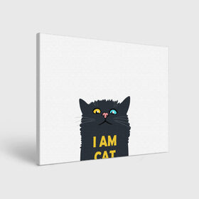 Холст прямоугольный с принтом I AM CAT в городе Новоалтайск, 100% ПВХ |  | Тематика изображения на принте: animal | cat | i am cat | meow | животное | зверь | кот | кошка | мяу