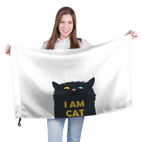 Флаг 3D с принтом I AM CAT в городе Новоалтайск, 100% полиэстер | плотность ткани — 95 г/м2, размер — 67 х 109 см. Принт наносится с одной стороны | animal | cat | i am cat | meow | животное | зверь | кот | кошка | мяу