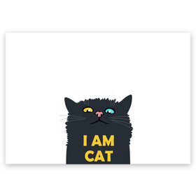 Поздравительная открытка с принтом I AM CAT в городе Новоалтайск, 100% бумага | плотность бумаги 280 г/м2, матовая, на обратной стороне линовка и место для марки
 | animal | cat | i am cat | meow | животное | зверь | кот | кошка | мяу