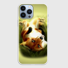 Чехол для iPhone 13 Pro Max с принтом Лиса на траве в городе Новоалтайск,  |  | Тематика изображения на принте: fox | животные | лиса | лисичка | рыжая