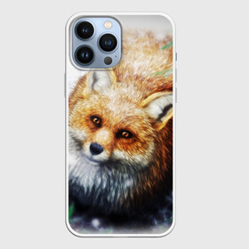 Чехол для iPhone 13 Pro Max с принтом Лиса в городе Новоалтайск,  |  | fox | животные | лиса | лисичка | рыжая