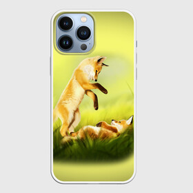 Чехол для iPhone 13 Pro Max с принтом Лисята в городе Новоалтайск,  |  | fox | животные | лиса | лисичка | лисята | рыжая