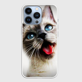 Чехол для iPhone 13 Pro с принтом Котик в городе Новоалтайск,  |  | Тематика изображения на принте: cat | животные | кот | котенок | кошка | смешной | смешной кот