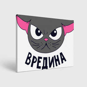 Холст прямоугольный с принтом кот в городе Новоалтайск, 100% ПВХ |  | белый | надписи | серый | серый кот | фразы