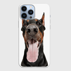 Чехол для iPhone 13 Pro Max с принтом Доберман   Doberman в городе Новоалтайск,  |  | doberman | dog | барбос | доберман | друг человека | пёс | псина | собака | собачка | собачонка | четвероногий друг | щенок
