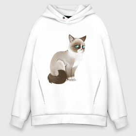 Мужское худи Oversize хлопок с принтом Grumpy Cat в городе Новоалтайск, френч-терри — 70% хлопок, 30% полиэстер. Мягкий теплый начес внутри —100% хлопок | боковые карманы, эластичные манжеты и нижняя кромка, капюшон на магнитной кнопке | grumpy cat | грустный кот | кот мем | мем | сердитая кошка