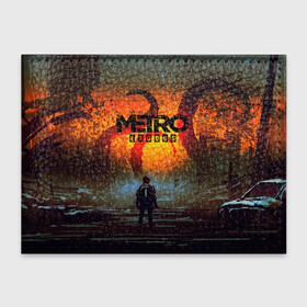 Обложка для студенческого билета с принтом Metro Exodus в городе Новоалтайск, натуральная кожа | Размер: 11*8 см; Печать на всей внешней стороне | Тематика изображения на принте: 2033 | exodus | metro | metro 2033 | metro exodus | stalker | апокалипсис | диггер | дигеры | метро | разрушка | эпидемия
