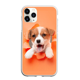 Чехол для iPhone 11 Pro матовый с принтом Собака в городе Новоалтайск, Силикон |  | dog | барбос | дворняга | друг человека | пёс | псина | собака | собачка | собачонка | четвероногий друг | шарик | щенок