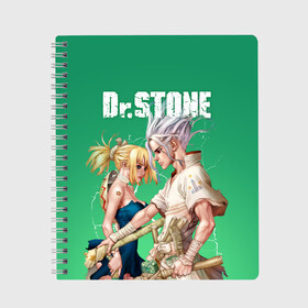 Тетрадь с принтом Dr Stone в городе Новоалтайск, 100% бумага | 48 листов, плотность листов — 60 г/м2, плотность картонной обложки — 250 г/м2. Листы скреплены сбоку удобной пружинной спиралью. Уголки страниц и обложки скругленные. Цвет линий — светло-серый
 | Тематика изображения на принте: dr. stone | kohaku | senku | taiju | доктор стоун | исигами сэнку | кохаку | сэнку | тайдзю | цукаса