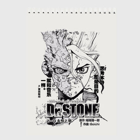 Скетчбук с принтом Dr Stone Senkuu в городе Новоалтайск, 100% бумага
 | 48 листов, плотность листов — 100 г/м2, плотность картонной обложки — 250 г/м2. Листы скреплены сверху удобной пружинной спиралью | Тематика изображения на принте: dr. stone | kohaku | senku | taiju | доктор стоун | исигами сэнку | кохаку | сэнку | тайдзю | цукаса