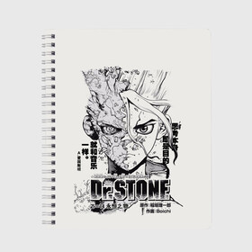 Тетрадь с принтом Dr Stone Senkuu в городе Новоалтайск, 100% бумага | 48 листов, плотность листов — 60 г/м2, плотность картонной обложки — 250 г/м2. Листы скреплены сбоку удобной пружинной спиралью. Уголки страниц и обложки скругленные. Цвет линий — светло-серый
 | Тематика изображения на принте: dr. stone | kohaku | senku | taiju | доктор стоун | исигами сэнку | кохаку | сэнку | тайдзю | цукаса