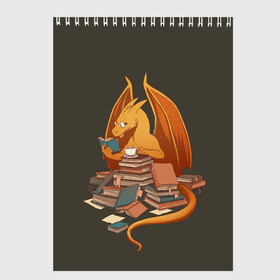 Скетчбук с принтом Book Dragon в городе Новоалтайск, 100% бумага
 | 48 листов, плотность листов — 100 г/м2, плотность картонной обложки — 250 г/м2. Листы скреплены сверху удобной пружинной спиралью | book | books | dragon | knowledge | professor | study | tea | wyvern | виверна | дракон | знания | книга | книги | книжный | профессор | чай