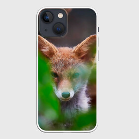 Чехол для iPhone 13 mini с принтом Лисичка в городе Новоалтайск,  |  | fox | foxy | животное | звери | лиса | лисенок | лисичка | милая | рыжая | фокс