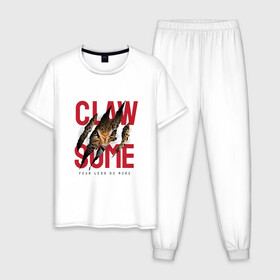 Мужская пижама хлопок с принтом Claw some в городе Новоалтайск, 100% хлопок | брюки и футболка прямого кроя, без карманов, на брюках мягкая резинка на поясе и по низу штанин
 | Тематика изображения на принте: арт | гепард | графика | животные | звери | надписи