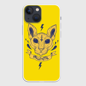 Чехол для iPhone 13 mini с принтом Привет от Сиамского кота в городе Новоалтайск,  |  | китти kitty кошка hellokitty мимими хэллоукитти