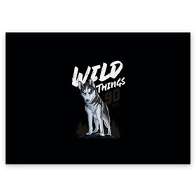 Поздравительная открытка с принтом Wild Things в городе Новоалтайск, 100% бумага | плотность бумаги 280 г/м2, матовая, на обратной стороне линовка и место для марки
 | wolf | волк | лес | пес | север | собака | хаски