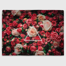 Плед 3D с принтом ROSE NEON | РОЗЫ НЕОН в городе Новоалтайск, 100% полиэстер | закругленные углы, все края обработаны. Ткань не мнется и не растягивается | rose | женская | любовь | молодежь | мужская | неон | розы | свобода