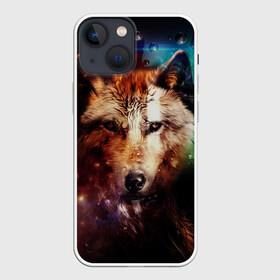 Чехол для iPhone 13 mini с принтом WOLF в городе Новоалтайск,  |  | wolf | абстракция | волк | хищник