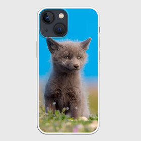 Чехол для iPhone 13 mini с принтом Смешной лисенок в городе Новоалтайск,  |  | fox | foxy | животное | звери | лиса | лисенок | лисичка | милая | рыжая | фокс