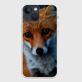 Чехол для iPhone 13 mini с принтом Мудрая лиса в городе Новоалтайск,  |  | Тематика изображения на принте: fox | foxy | животное | звери | лиса | лисенок | лисичка | милая | рыжая | фокс