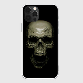 Чехол для iPhone 12 Pro Max с принтом SKULL в городе Новоалтайск, Силикон |  | black | skull | subculture | рок | череп | черное