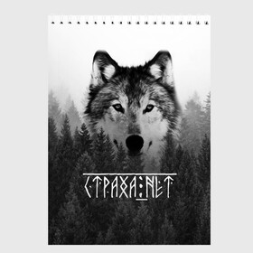 Скетчбук с принтом СТРАХА НЕТ СЛАВЯНЕ в городе Новоалтайск, 100% бумага
 | 48 листов, плотность листов — 100 г/м2, плотность картонной обложки — 250 г/м2. Листы скреплены сверху удобной пружинной спиралью | бог | волк | лес | оберег | россия | славянская культура | славянская символика | славянские | собака