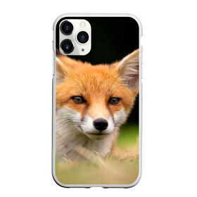 Чехол для iPhone 11 Pro Max матовый с принтом Мордочка лисицы в городе Новоалтайск, Силикон |  | Тематика изображения на принте: fox | foxy | животное | звери | лиса | лисенок | лисичка | милая | рыжая | фокс